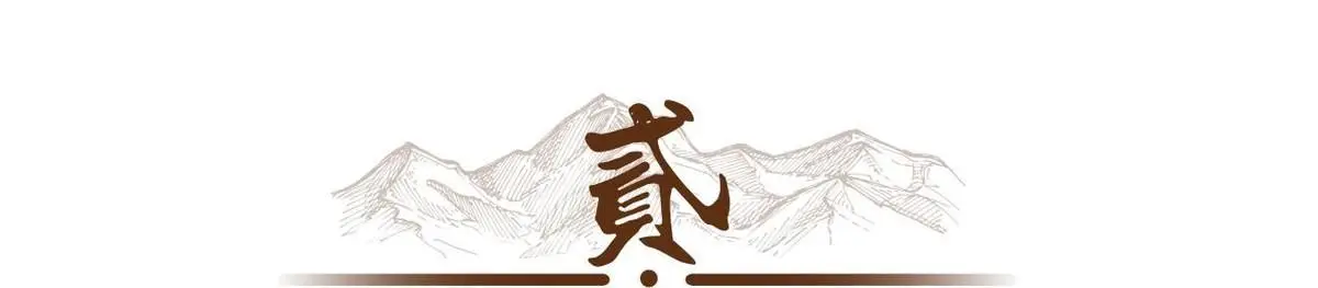陈皮真的一两金？揭秘陈皮的财富秘密与千年传承