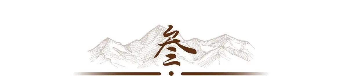 陈皮真的一两金？揭秘陈皮的财富秘密与千年传承
