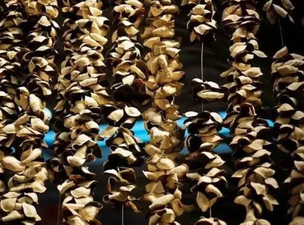 品城记商城：陈皮瓜子，5 年新会陈皮+新疆瓜子炒制，好吃不上火