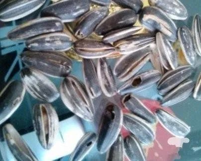 品城记商城：陈皮瓜子，5 年新会陈皮+新疆瓜子炒制，好吃不上火