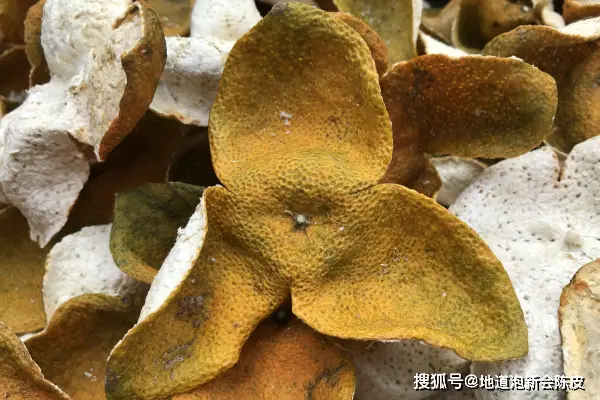 新会陈皮：青皮、二红皮、大红皮的区别你知道吗？