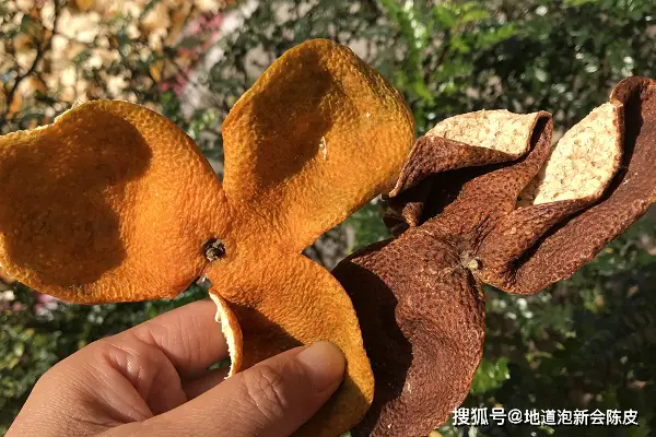 新会陈皮：青皮、二红皮、大红皮的区别你知道吗？