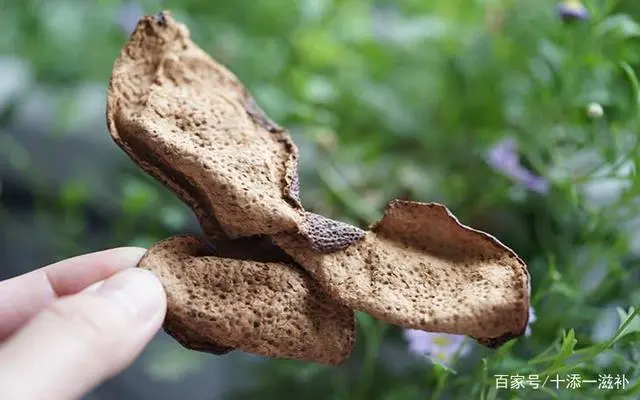 十年陈皮与普通陈皮的区别，新会陈皮的特点与收藏价值
