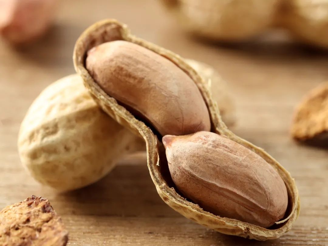 陈皮花生：广东人私藏宝藏茶点，林郑月娥带货出圈，你吃过吗？