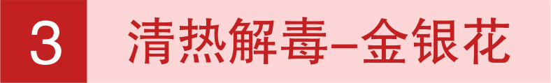 女神节送礼新选择！养生花茶助女神养肝补气，重回青春