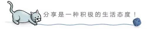 新会陈皮与白茶完美结合，养生功效妙韵自生