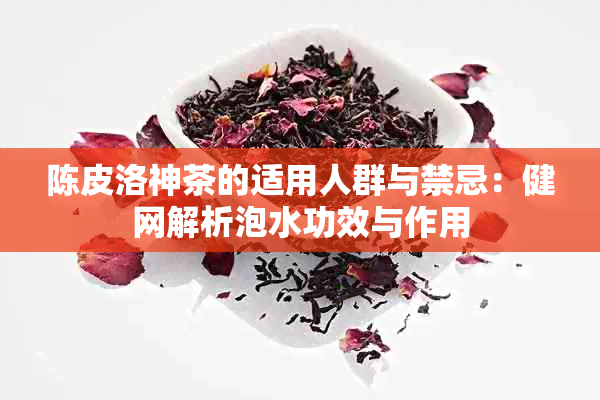 陈皮洛神茶与茯茶的功效、作用、适用人群及禁忌全解析