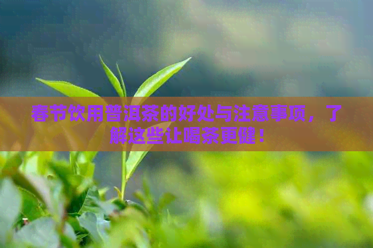 陈皮普洱茶：祛痰润喉、醒脑提神、护胃健齿、抗衰老的饮品