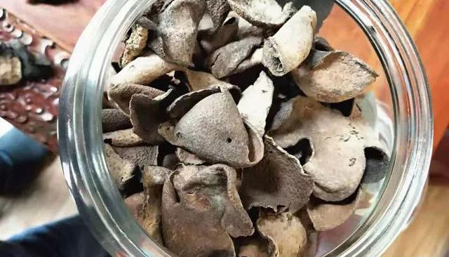 新会陈皮和柑普茶的故事：有趣有料，还有健康功效