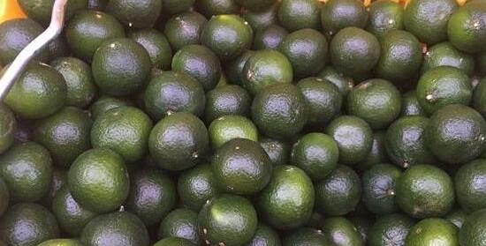 自己制作小青柑普洱茶的步骤与技巧，你知道吗？