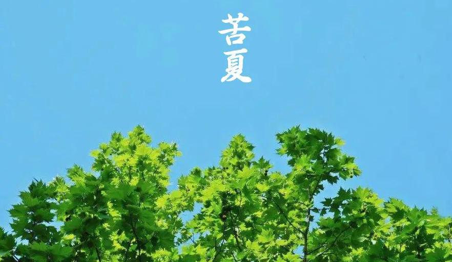 立夏养生指南：如何应对突如其来的高温与苦夏症状
