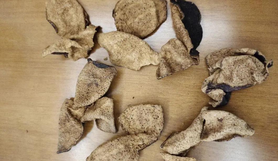 橘子皮与陈皮的区别：功效、作用及正确使用方法全解析