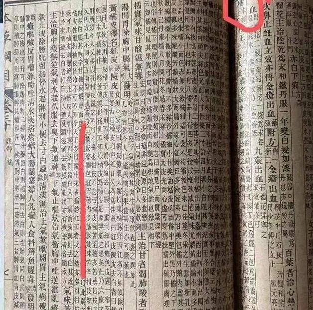 柑润堂甲天下·1578新会天马陈皮：品质上乘的东和渠道产品