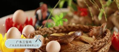 新会陈皮文化节：探索百年陈皮胜黄金的药用与食用价值