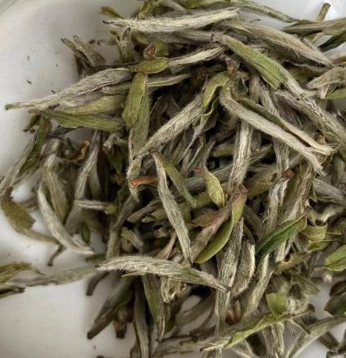 陈皮白茶的历史、产地与功效：探索中国南方特色茶品的独特魅力