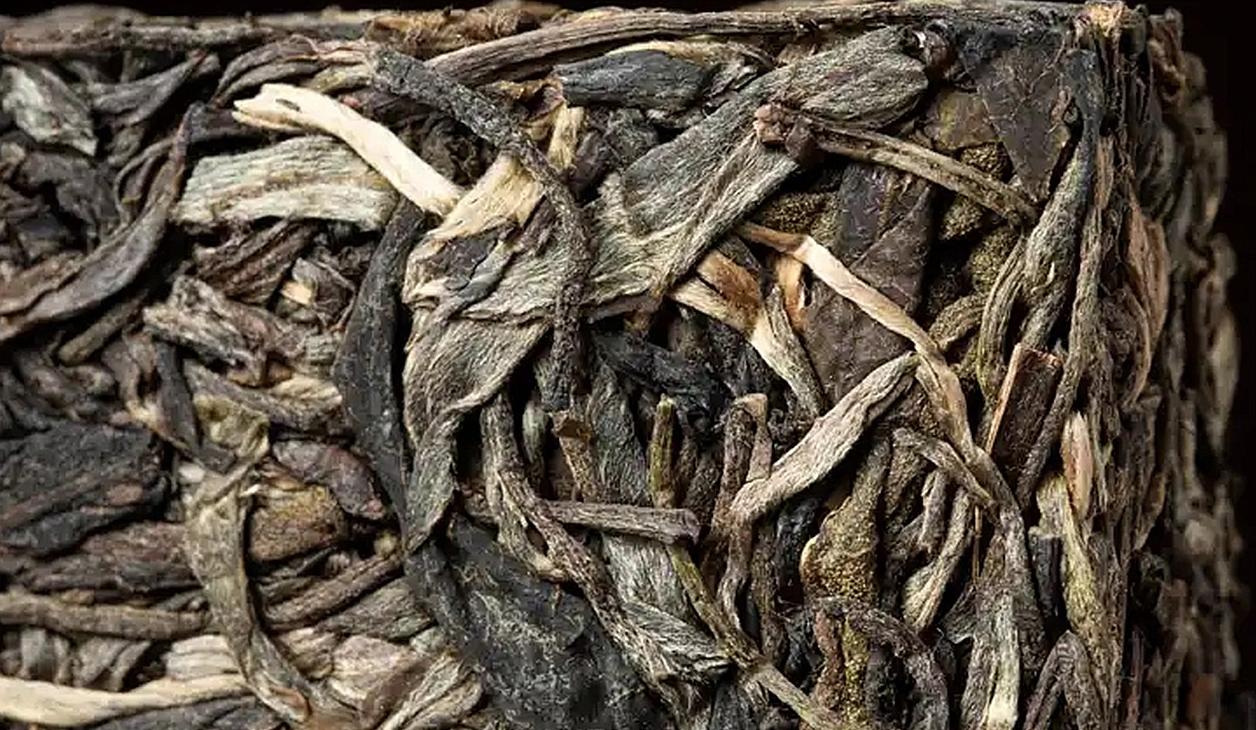 新会陈皮与云南普洱成热门组合，该配生茶还是熟茶？