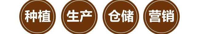 世纪茗家近二十年专注新会陈皮 教你辨真假好坏