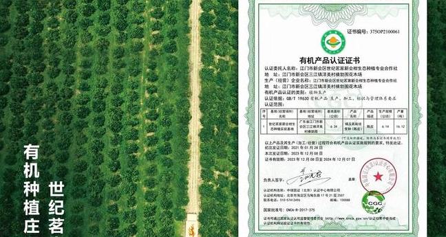 世纪茗家近二十年专注新会陈皮 教你辨真假好坏