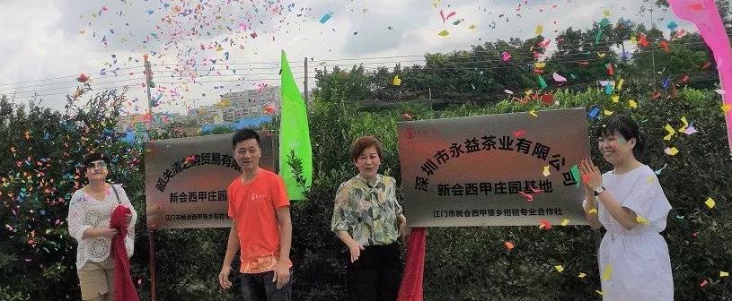 2019新会西甲青柑头彩节圆满成功，益柑柠西甲小青柑金奖头彩大受欢迎
