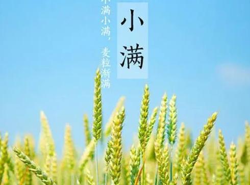 陈皮水鸭 小满节气养生指南：祛火除湿，健脾养心，迎接美满夏天