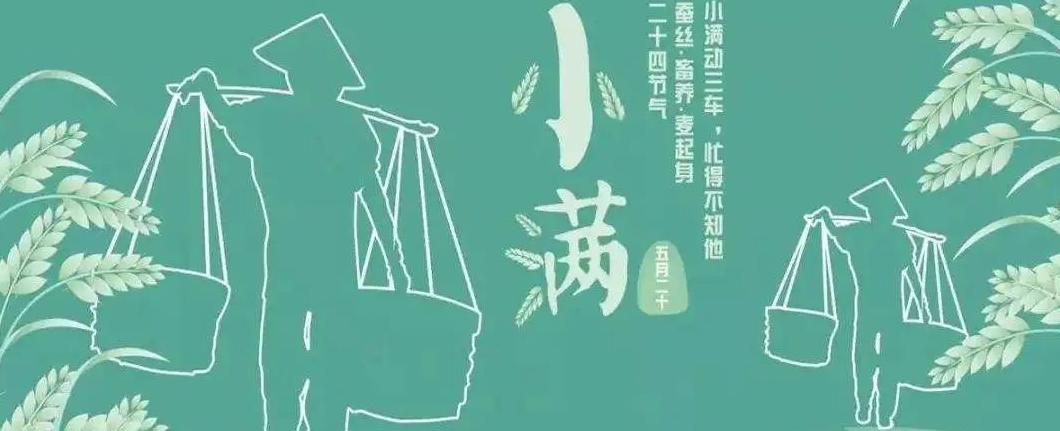 陈皮水鸭 小满节气养生指南：祛火除湿，健脾养心，迎接美满夏天