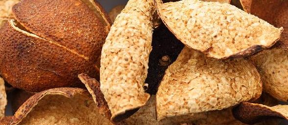 陈皮泡水不补肾 秋冬饮用可开胃 配梨子喝效果最好