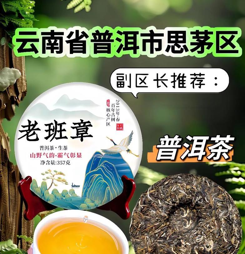 十大普洱品牌排行：品味千年古树韵味，领略云南七子饼茶与福鼎白茶魅力