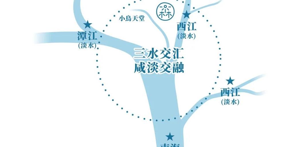 新会陈皮被列为贡品，和普通陈皮有啥不同？一文为你揭秘