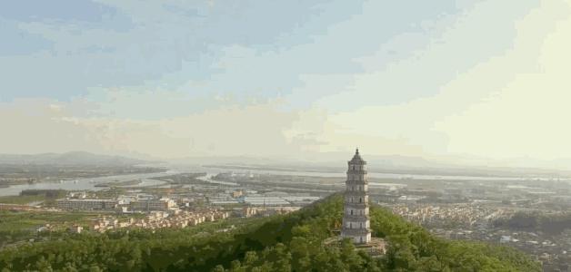 新会陈皮被列为贡品，和普通陈皮有啥不同？一文为你揭秘