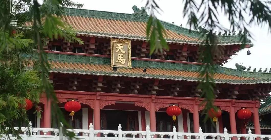新会陈皮被列为贡品，和普通陈皮有啥不同？一文为你揭秘