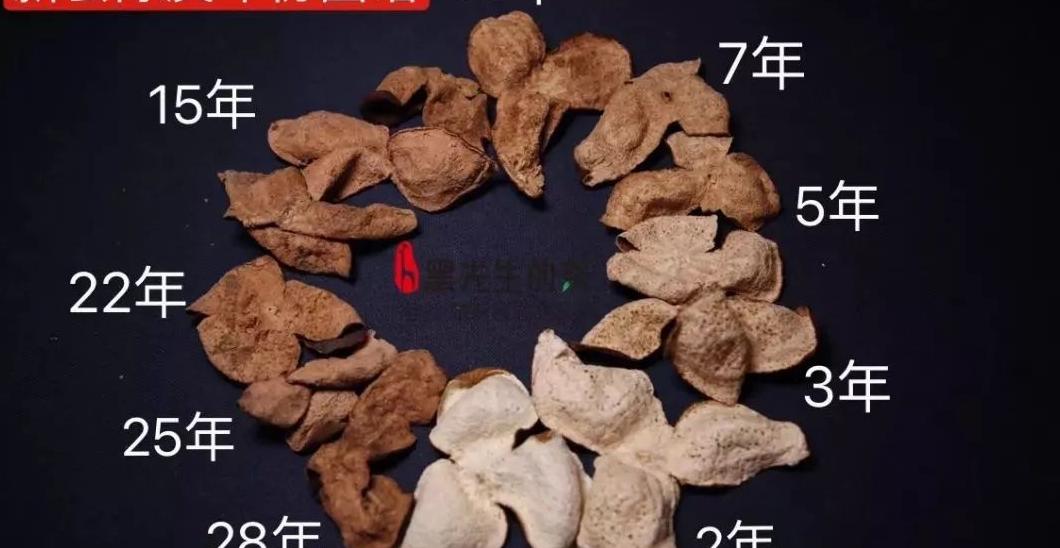 新会陈皮推荐：10年以上老陈皮的药香与醇厚口感体验