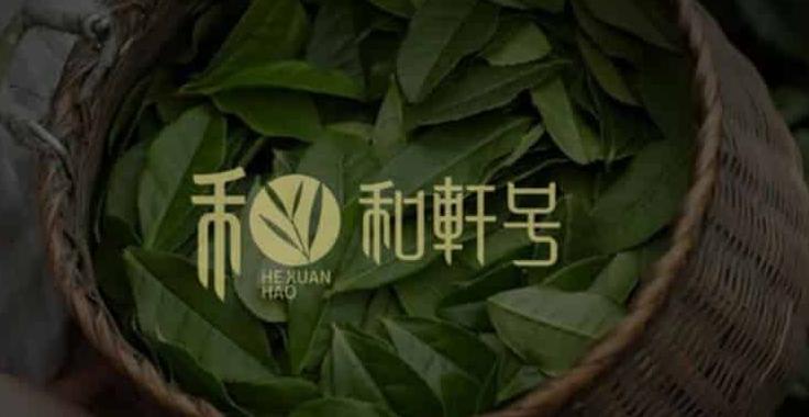 新会陈皮品牌排行榜：十大知名品牌及真假辨别方法