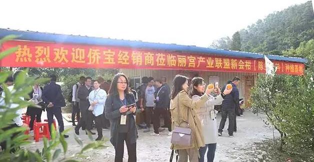 新会陈皮收藏文化节成功举办，陈皮产业年产值预计超60亿元