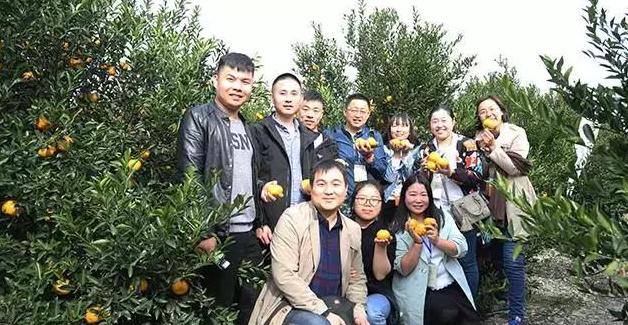 新会陈皮收藏文化节成功举办，陈皮产业年产值预计超60亿元