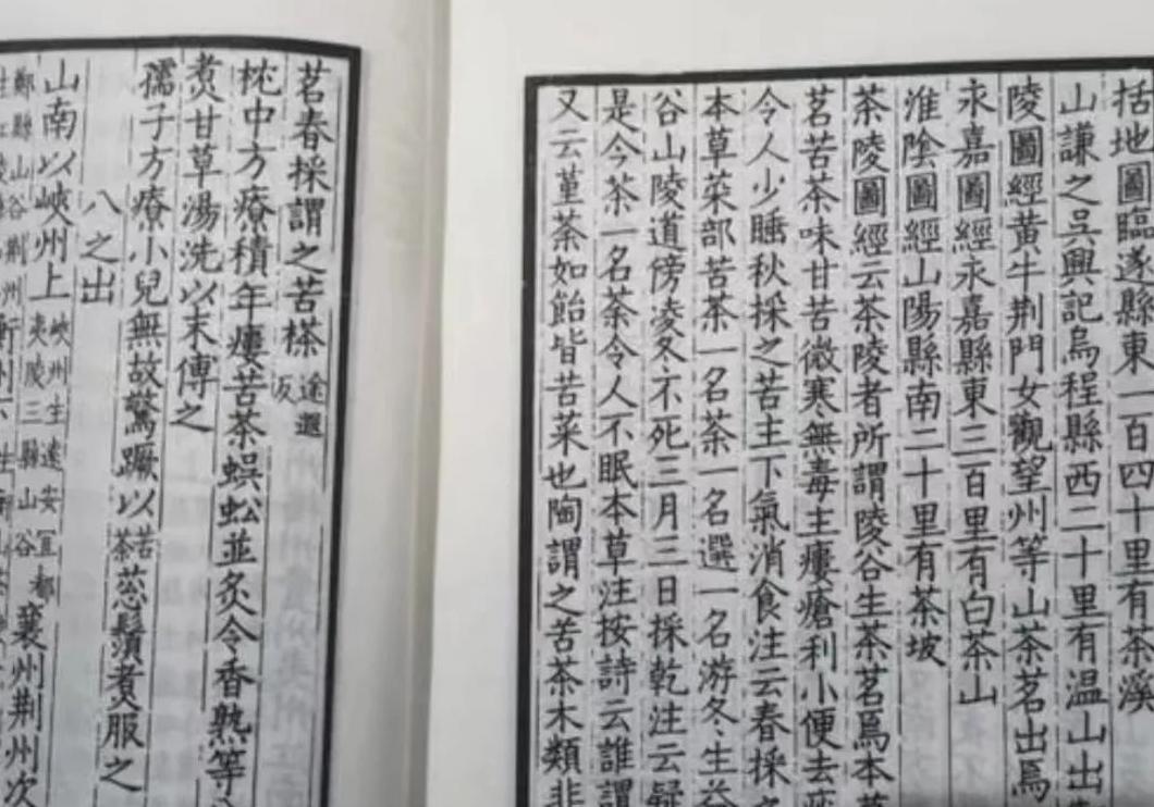 老白茶：一年茶、三年药、七年宝，福建老辈人的养生秘诀
