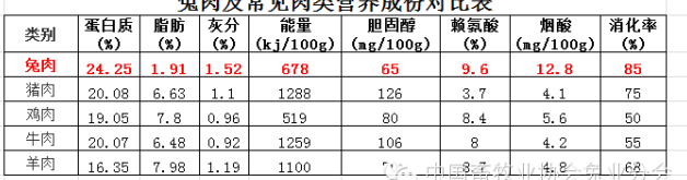 陈皮兔 探索兔子在中华文化中的象征意义及其汉字的独特魅力