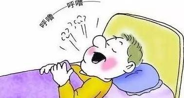山楂陈皮 中医解析打呼噜原因：肺功能异常与日常养生误区