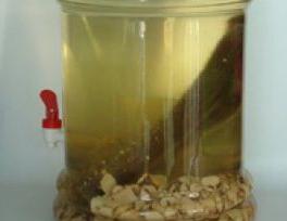 补肾壮阳酒配方揭秘：夜狼神威御液酒的正确泡制方法及功效
