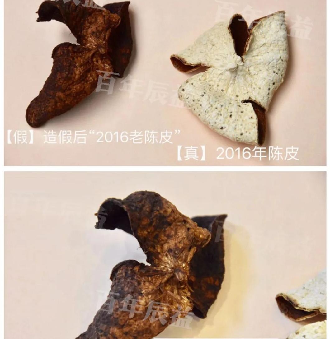 钟南山院士在横琴医院奠基仪式上分享陈皮茶对改善空气污染影响的科研成果