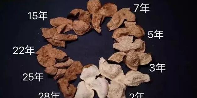 钟南山院士在横琴医院奠基仪式上分享陈皮茶对改善空气污染影响的科研成果