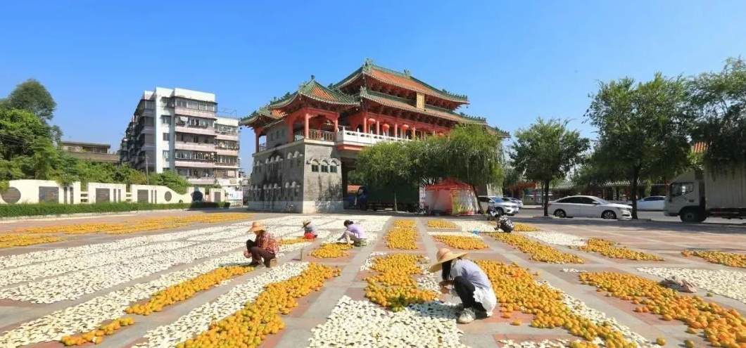 钟南山院士在横琴医院奠基仪式上分享陈皮茶对改善空气污染影响的科研成果