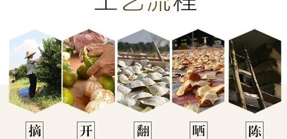 钟南山院士在横琴医院奠基仪式上分享陈皮茶对改善空气污染影响的科研成果