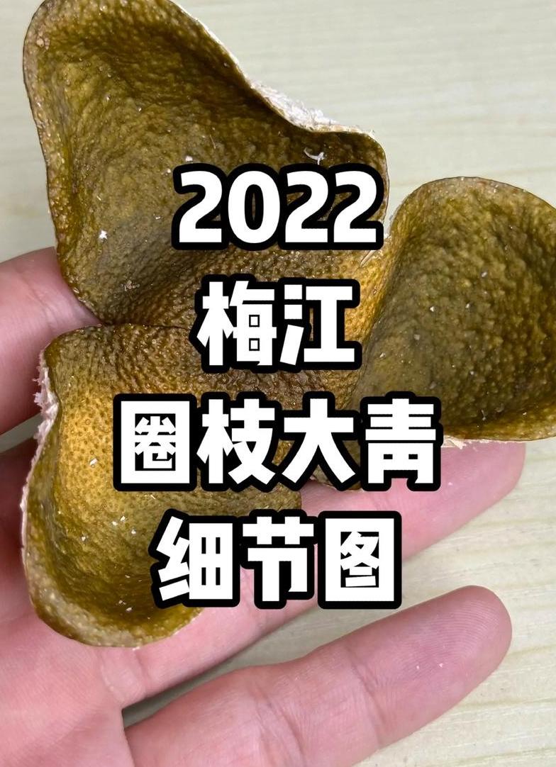 新会青皮 新会青皮收藏价值解析：地理环境、加工工艺与稀缺性的完美结合