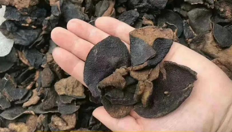 陈皮颜色越黑年份越久？干仓陈皮VS湿仓陈皮的区别与正确鉴别方法