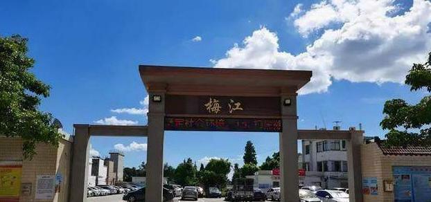解析新会陈皮行业品牌现状及老陈皮稀缺性原因