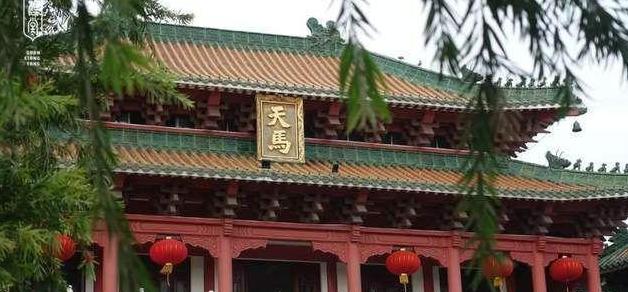 解析新会陈皮行业品牌现状及老陈皮稀缺性原因