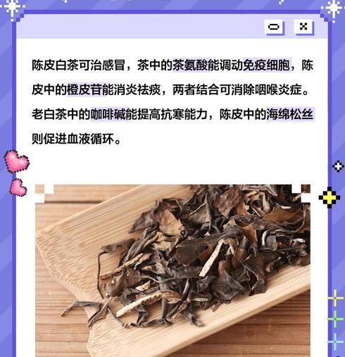 陈皮白茶的健康益处：消暑提神，促进新陈代谢的绝佳选择