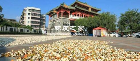 正宗新会陈皮产地揭秘：天麻、梅江等第一产区为何最佳？