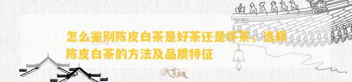 如何鉴别陈皮白茶的好坏？掌握外观、香气与口感的鉴别技巧