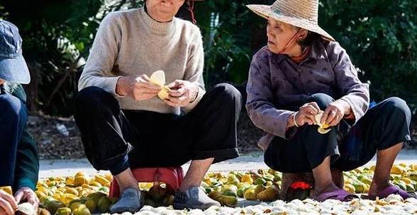 正宗新会陈皮产地揭秘：熊子塔周边茶枝柑的独特魅力与历史传承
